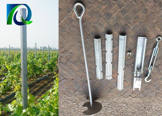 দস্তা লেপ 275 জি 1.5 মিমি পুরুত্বের দ্রাক্ষাক্ষেত্র ট্রেলিস পোস্টস