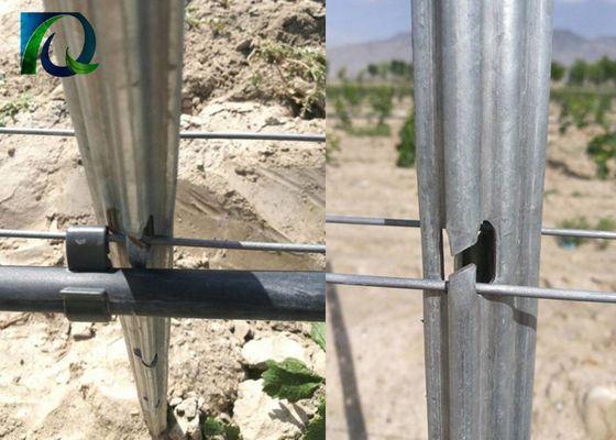 এন্টি মরিচা 1.6-3.0mm মিমি ওয়্যার 54x30 মিমি ভিনেয়ার্ড ট্রেলিস পোস্ট