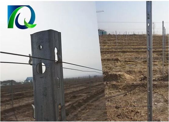 3.0 মিমি ইউ টাইপ 275 জি দস্তা ধাতব অর্কিড ট্রেলিস পোস্ট